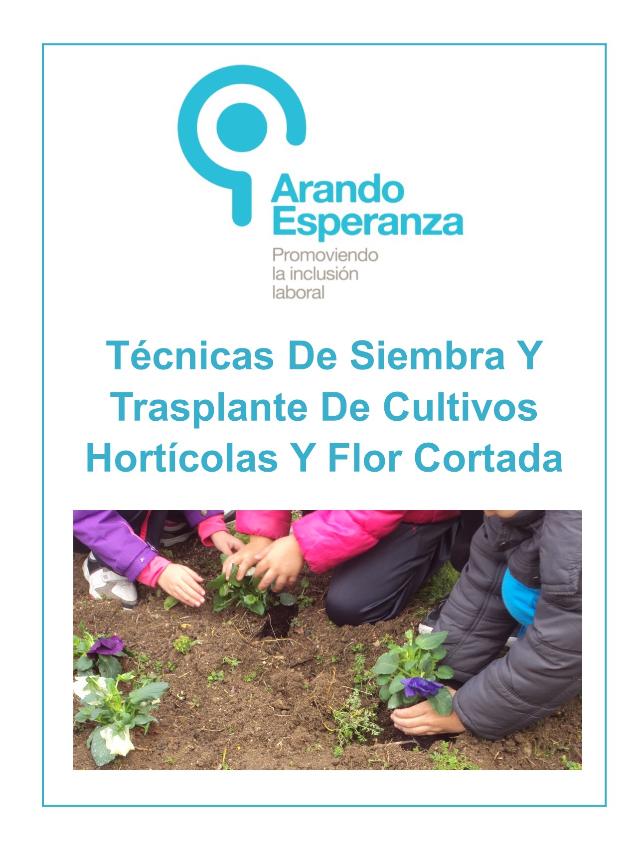 Técnicas De Siembra Y Trasplante De Cultivos Hortícolas Y Flor Cortada